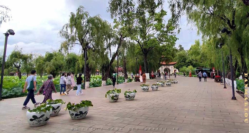 KUNMING - Parc Daguan - 08.jpg